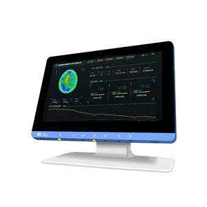 Dynamic Electrical  Impedance Tomography  of the Brain