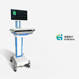 Dynamic Electrical  Impedance Tomography  of the Brain